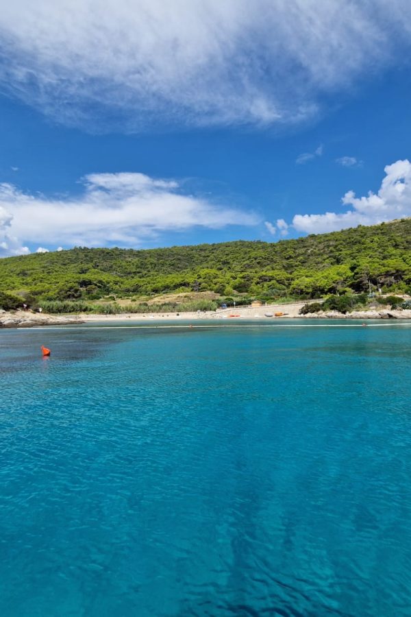 Milna Bay-Vis Sailing Tour (1)