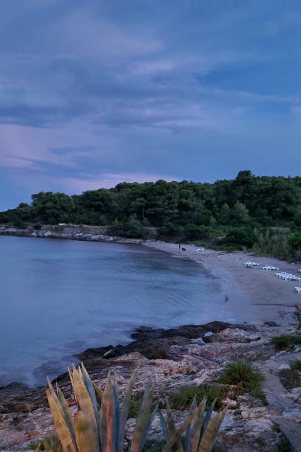 Milna Bay-Vis Sailing Tour (3)